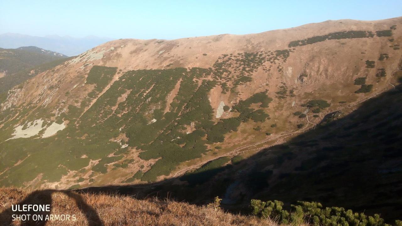 דמנובסקה דולינה Villa Pod Hviezdami Jasna מראה חיצוני תמונה